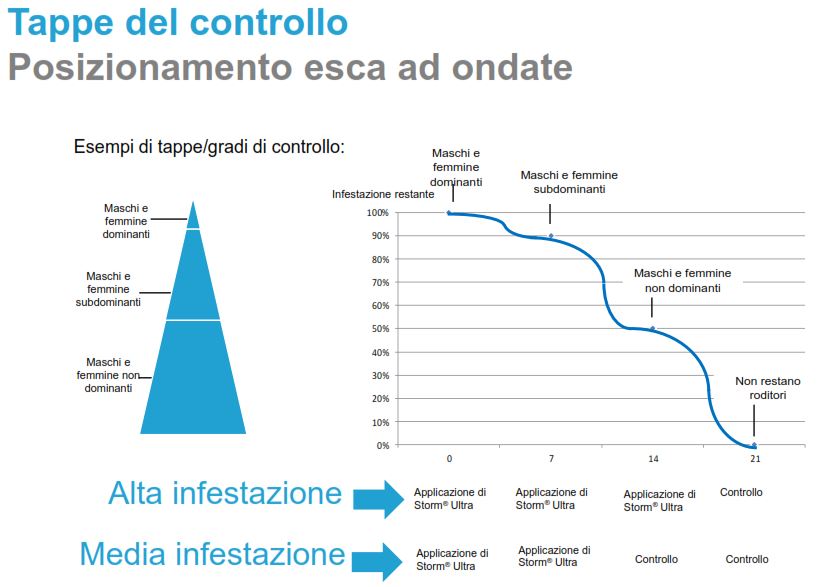 STORM ULTRA SECURE - BASF Pest Control Italia - Confezione da 3 Kg